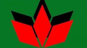 UDMR a lansat candidaţii pentru locale; actualul viceprimar de la Baia Mare candidează pentru primărie