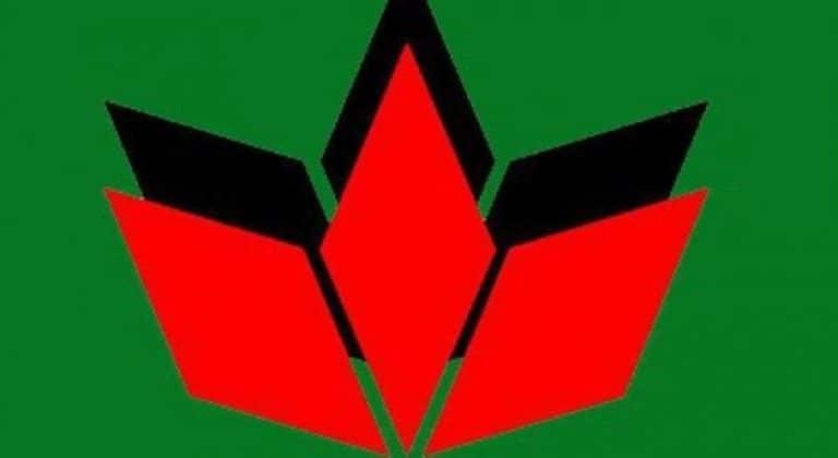 UDMR a lansat candidaţii pentru locale; actualul viceprimar de la Baia Mare candidează pentru primărie