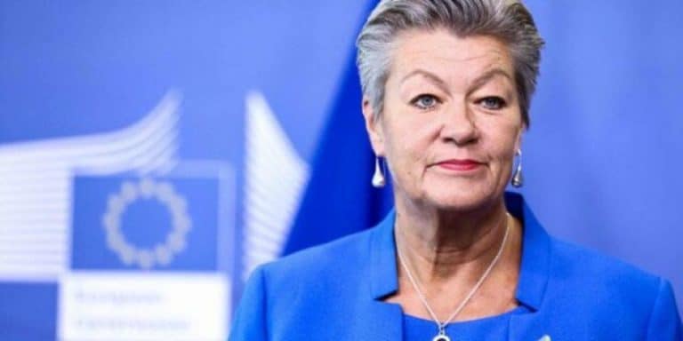 Catălin Predoiu, discuții cu Ylva Johansson