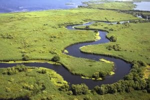 un plan de mare amploare deja este pus în aplicare