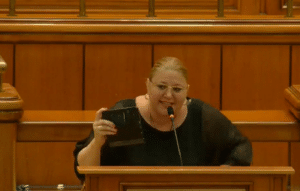 nereguli multiple găsite la dosar (document)