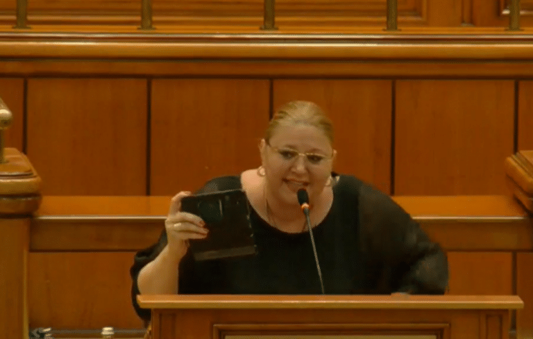 nereguli multiple găsite la dosar (document)