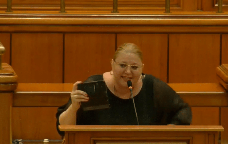 nereguli multiple găsite la dosar (document)