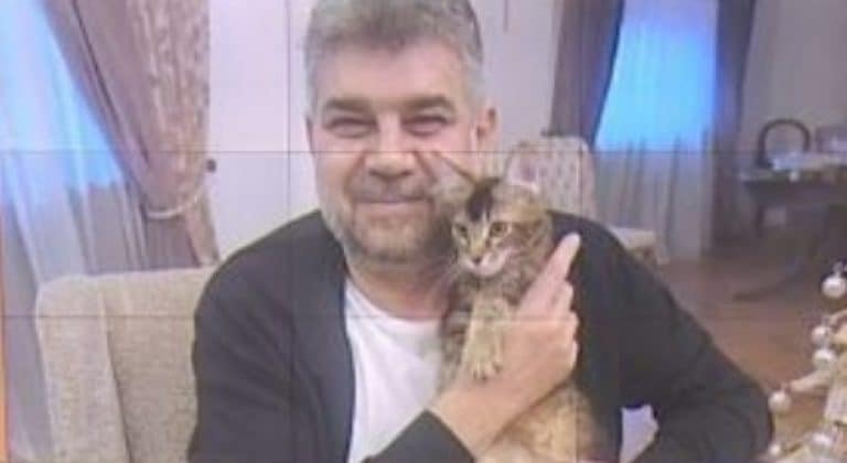 Tudose i-a oferit premierului o pisică: ‘Da, acesta este Marcel Ciolacu. Tot el e’