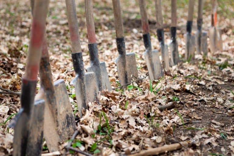 potențial avem, politici adecvate, nu!