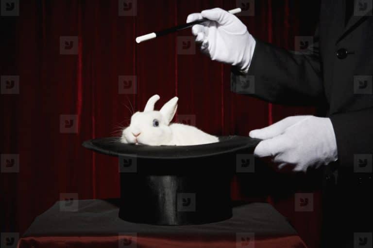 Scenariul candidatului surpriză lansat de liberali la prezidențiale (Antena 3)