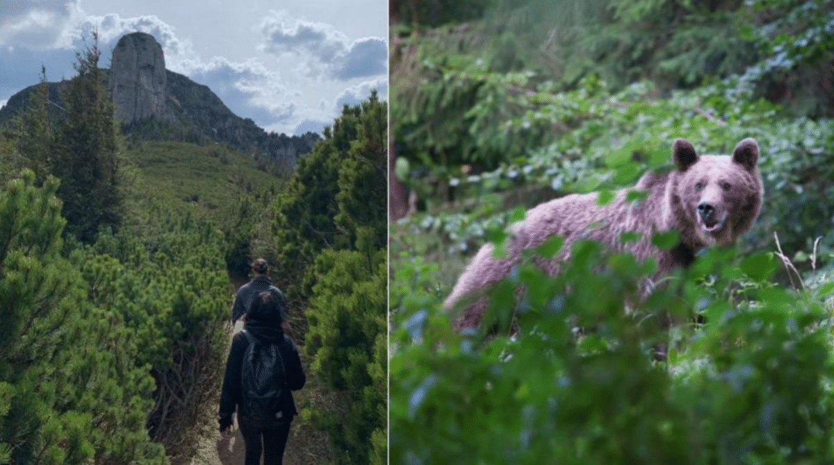 ‘Nu se poate continua așa!’